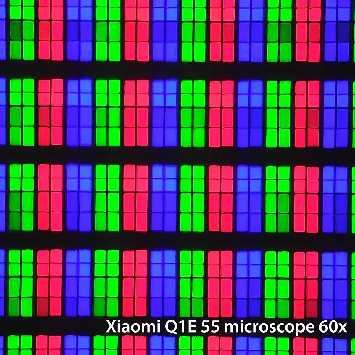 La dalle au microscope 60x.