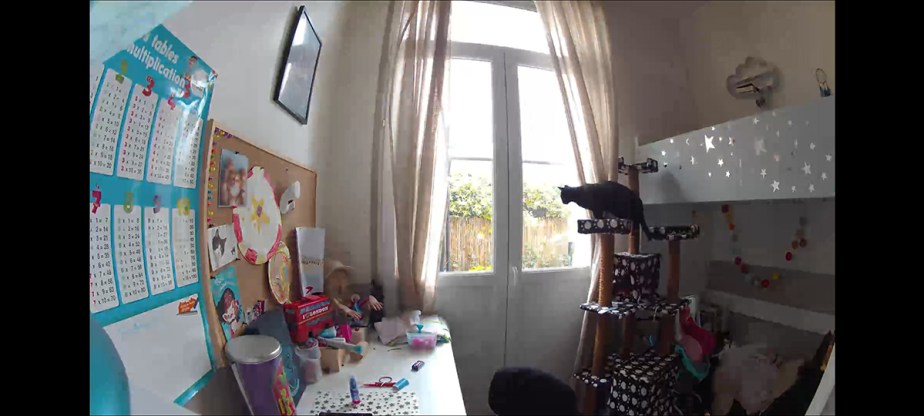 Quand un animal ou une personne est détecté, la camera l'identifie // Source : Frandroid / Yazid Amer