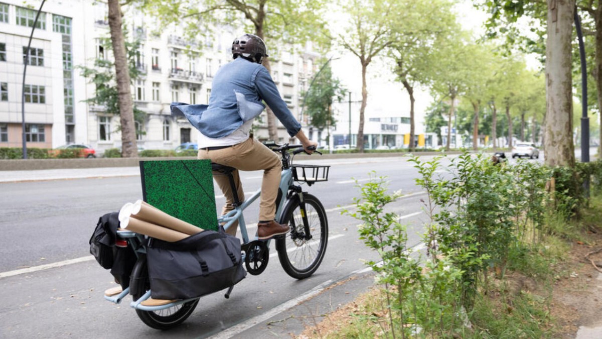 Decathlon Vélocargo Longtail R500Elec (3)