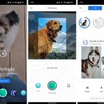 Comparez la photo de votre chien avec un tableau célèbre grâce à Google Arts et Culture