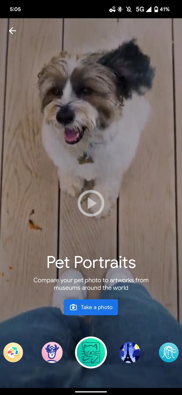 Google Arts & Culture Pet Portraits. // Source : 9to5Google