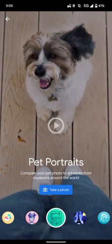 Google Arts & Culture Pet Portraits. // Source : 9to5Google