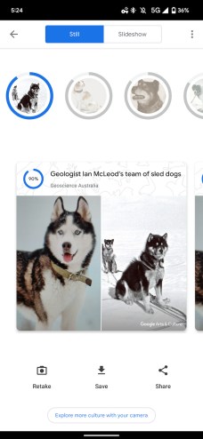 Google Arts & Culture Pet Portraits. // Source : 9to5Google