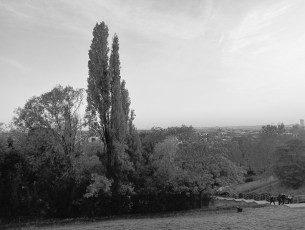 Mode noir et blanc du Realme 8i