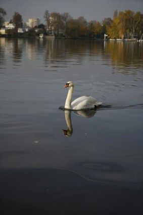 Photo prise avec la Sony A7 IV // Source : Olivier Gonin pour Frandroid