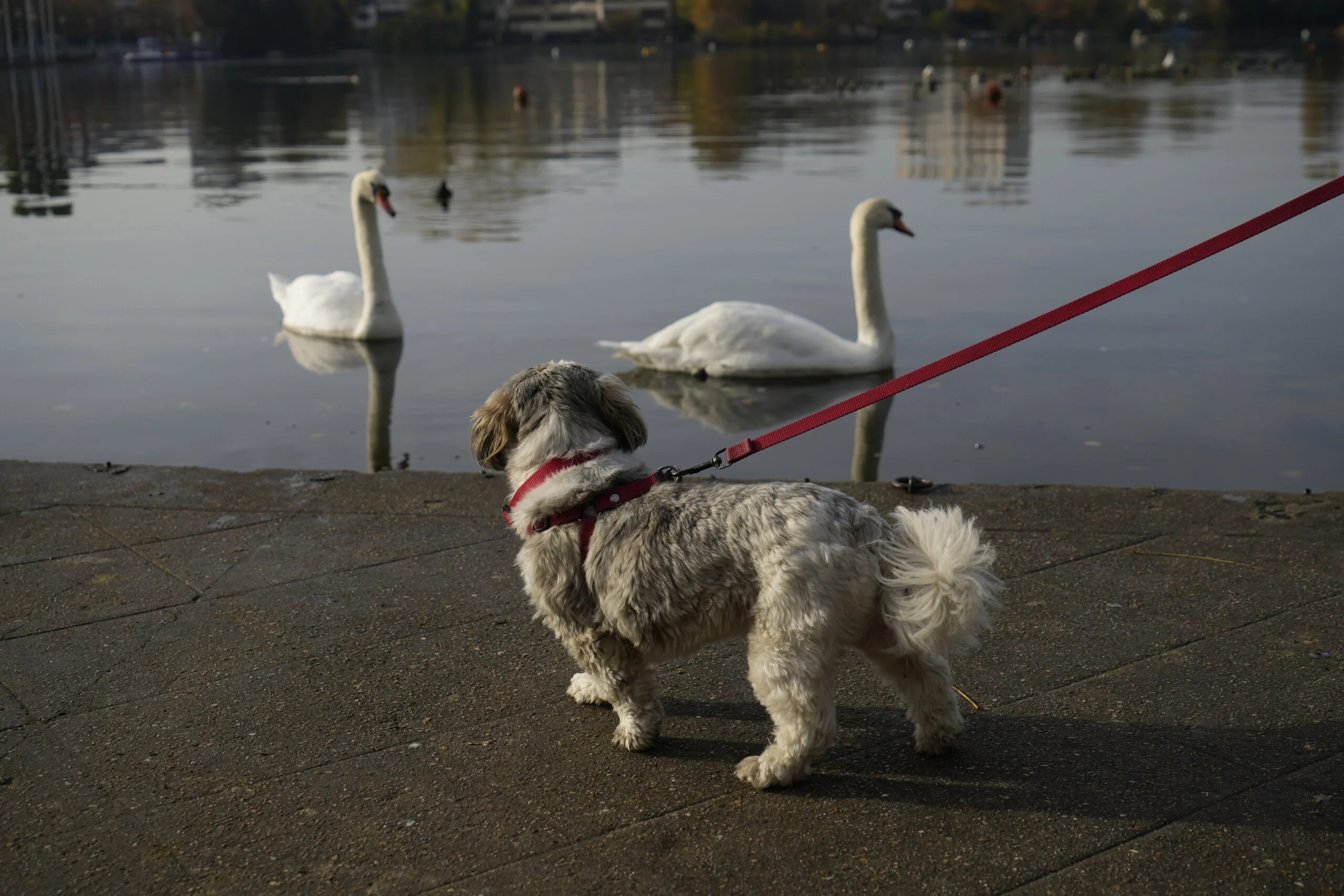 Photo prise avec la Sony A7 IV // Source : Olivier Gonin pour Frandroid