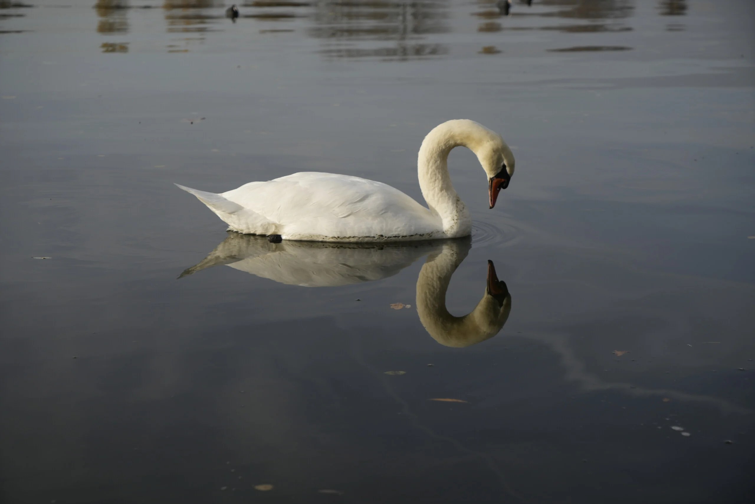 Photo prise avec la Sony A7 IV // Source : Olivier Gonin pour Frandroid