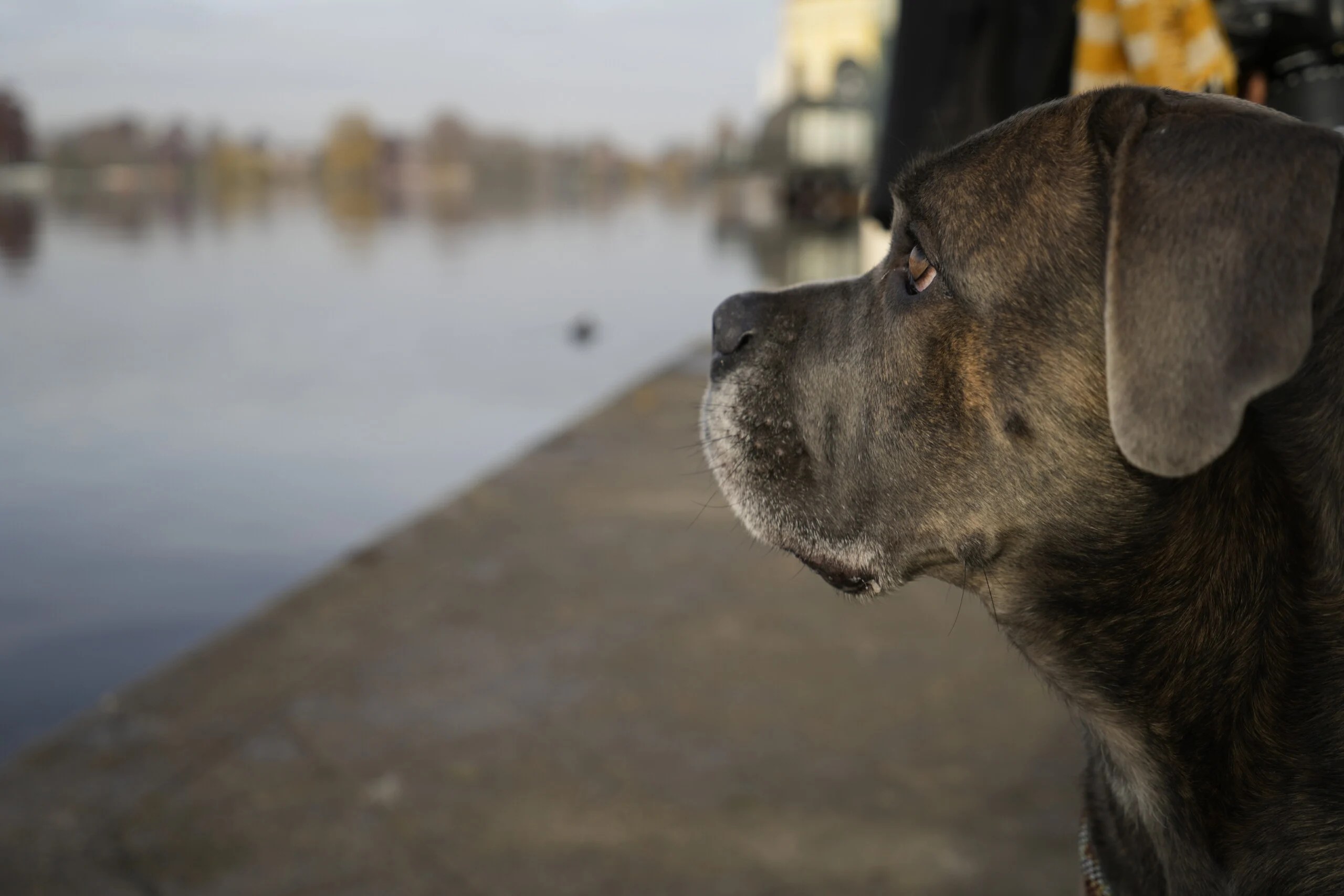 Photo prise avec la Sony A7 IV // Source : Olivier Gonin pour Frandroid