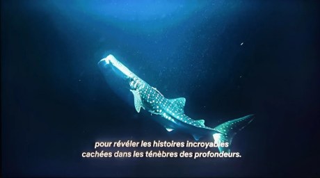 Les sous-titres peuvent souffrir parfois.