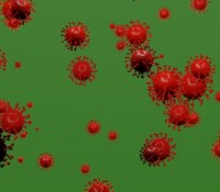 Virus 2