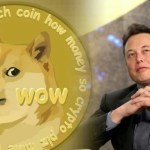 Le Dogecoin est officiellement utilisé par Tesla, la blague est finie
