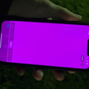 iOS 15 : un bug affiche un écran tout rose sur certains iPhone 13