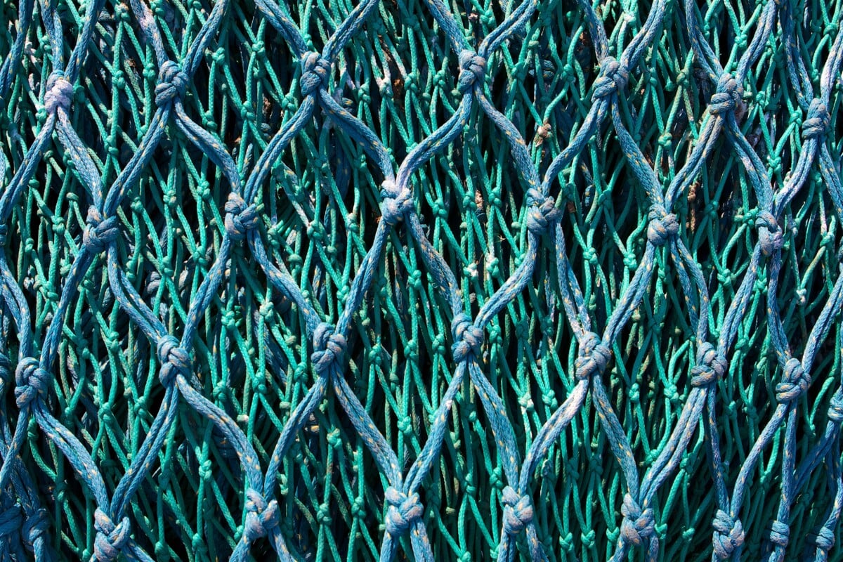 Le rapport entre un filet de pêche et le Samsung Galaxy S22