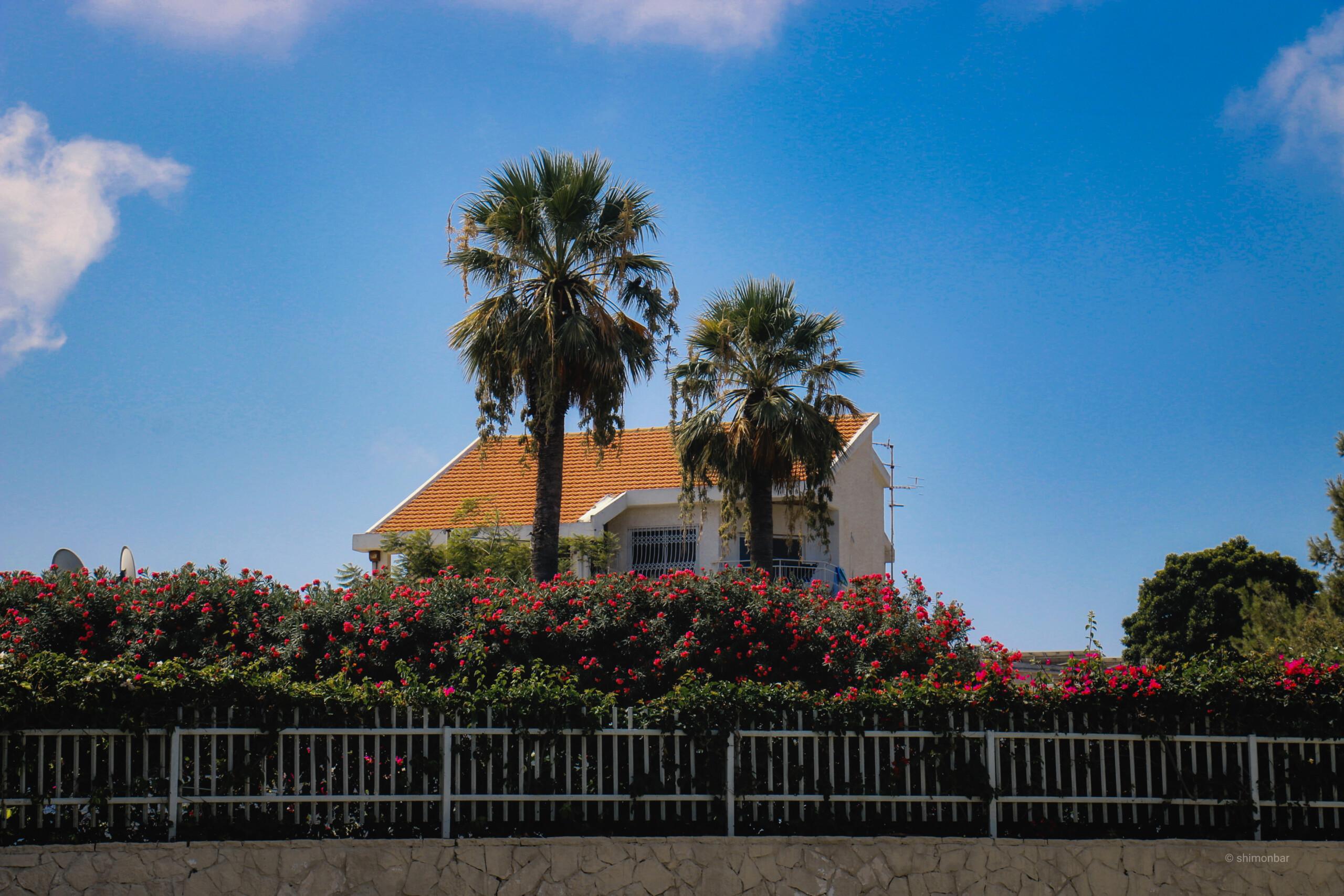 Luminar Neo, l’outil de retouche photo à l’IA qui bosse presque tout seul
