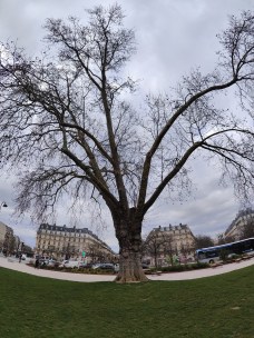 Photo du Realme GT 2 Pro au fisheye