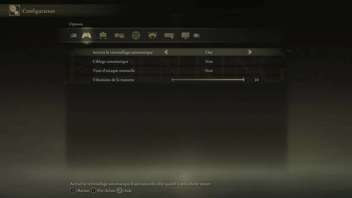 Elden Ring options