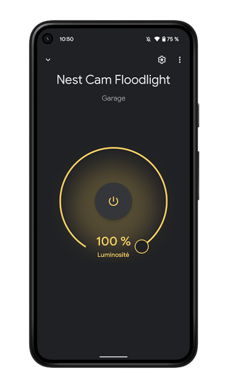 Nest Cam avec projecteur - Application Google Home (2)