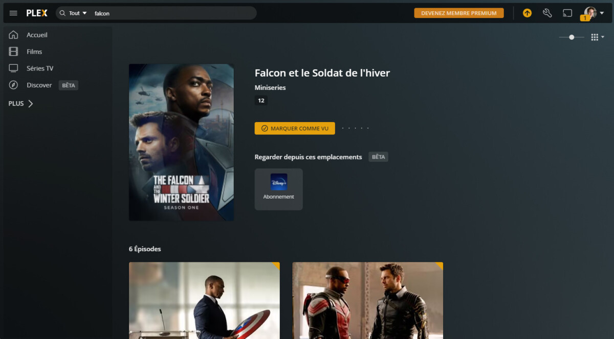 Plex vous propose de regarder Falcon et le Soldat de l'hiver sur Disney Plus