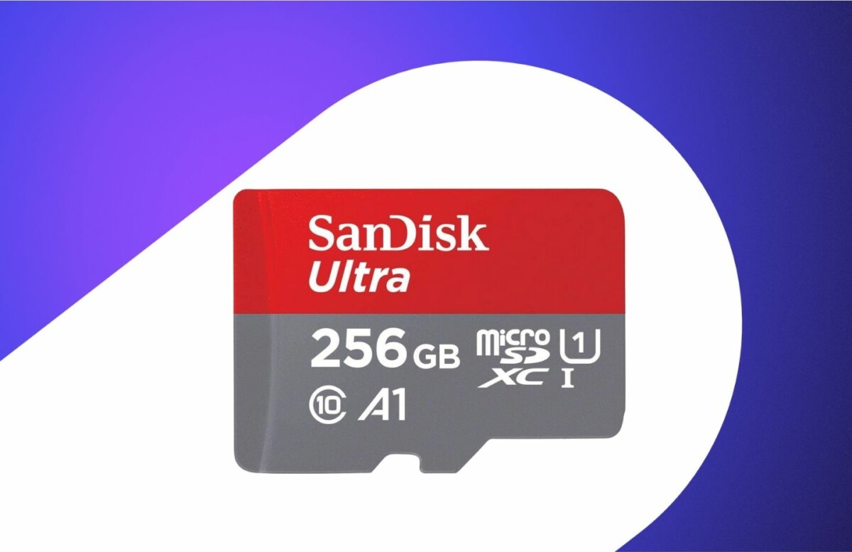 SanDisk MicroSDXC 256 Go (1)