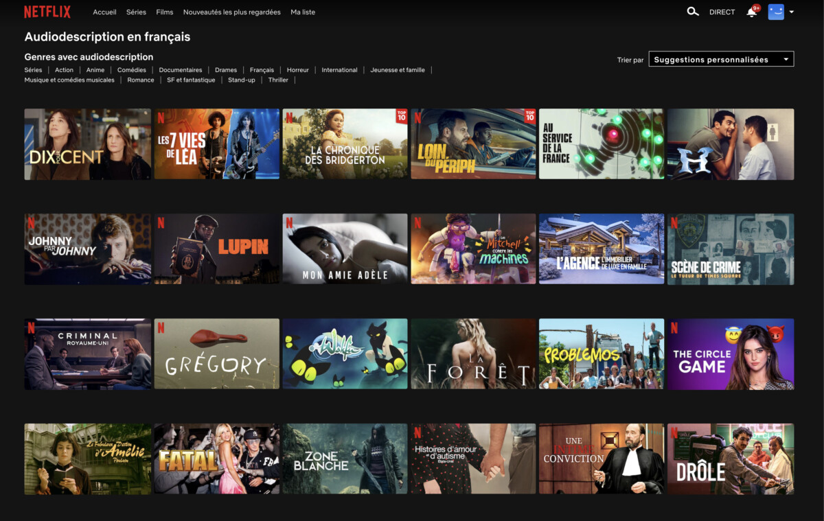netflix liste film audiodescription VF