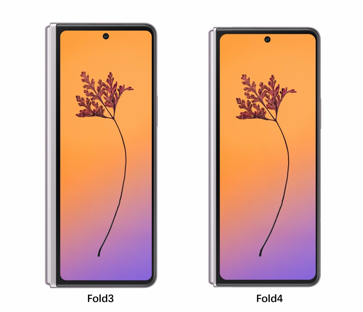 z fold 4