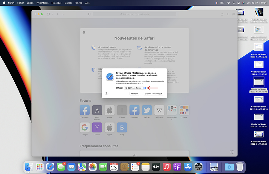 Comment effacer l'historique sur Safari 03