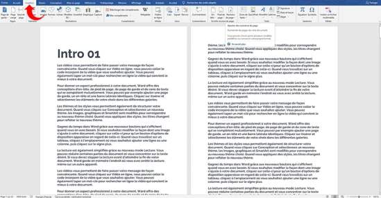 Comment numéroter les pages d’un document Word 02 copy