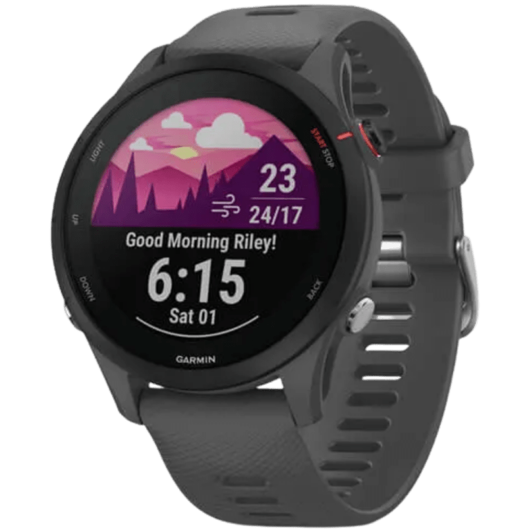Garmin Forerunner 255 meilleur prix, fiche technique et actualité — free download