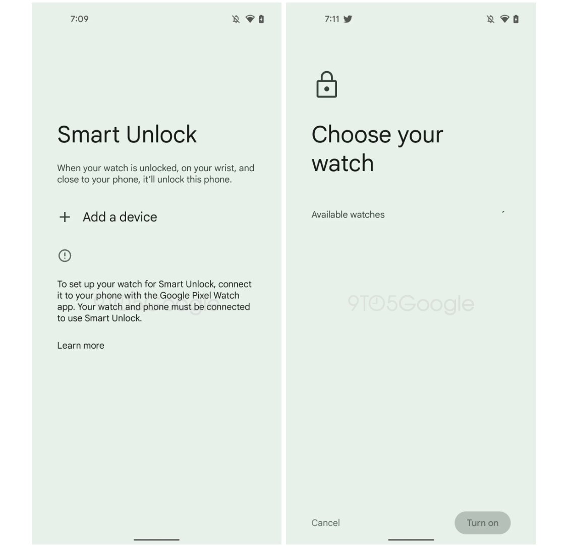 google-pixel-watch-app