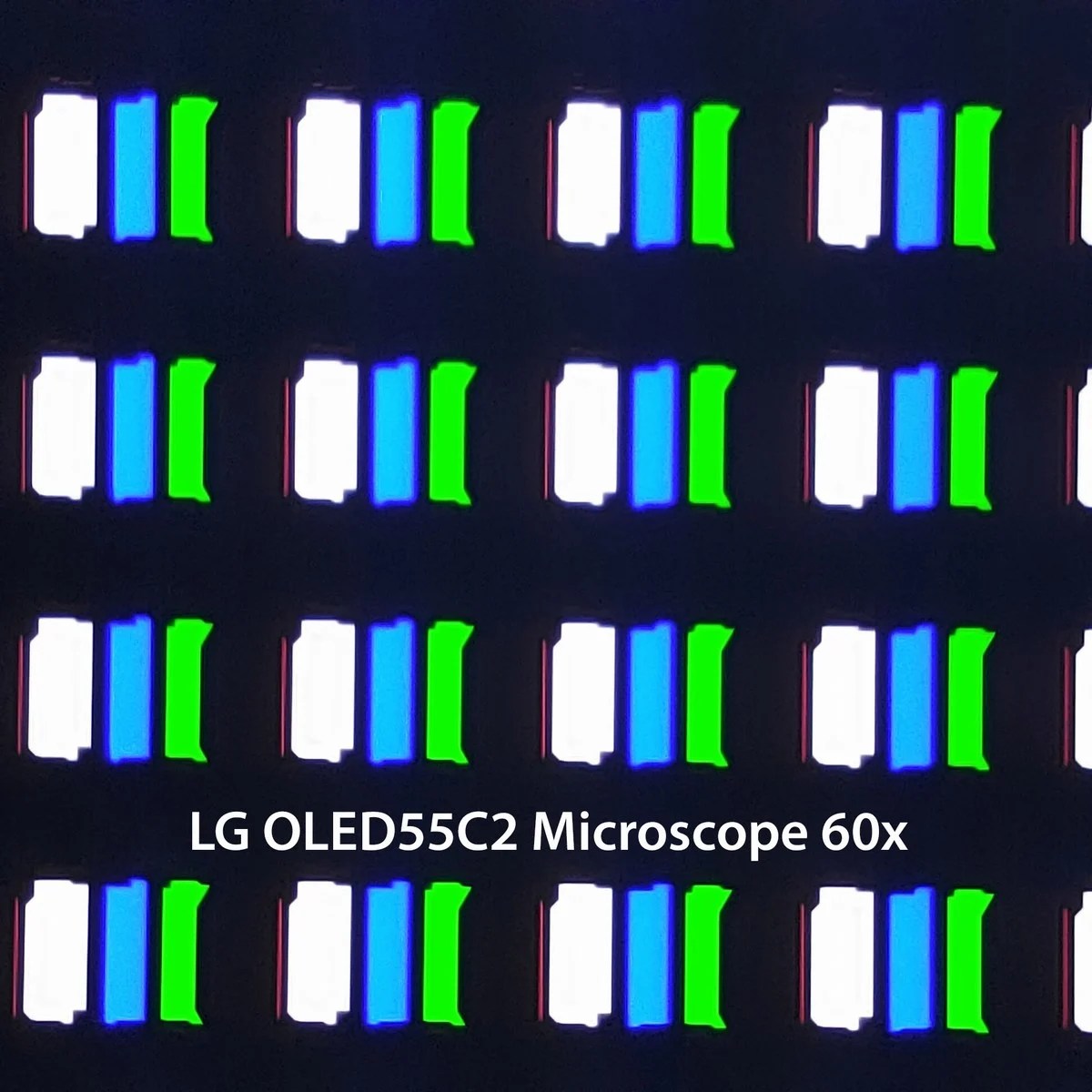 La dalle du C2 au microscope 60x.