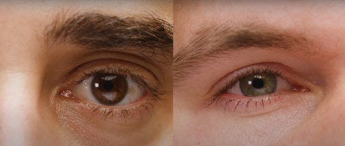 Des yeux humains sous une lumière normale  // Source : The Verge