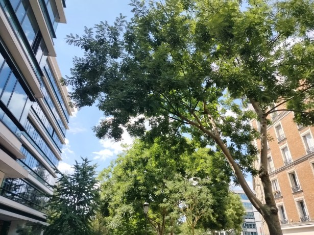 IMG20220706134751
