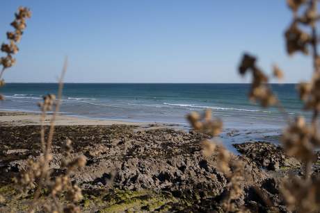 surfeurs dans les vagues