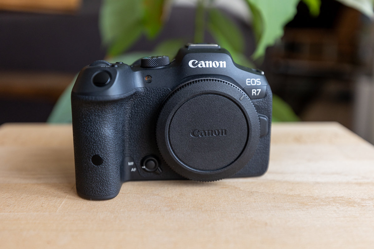 appareil photo et objectif en main