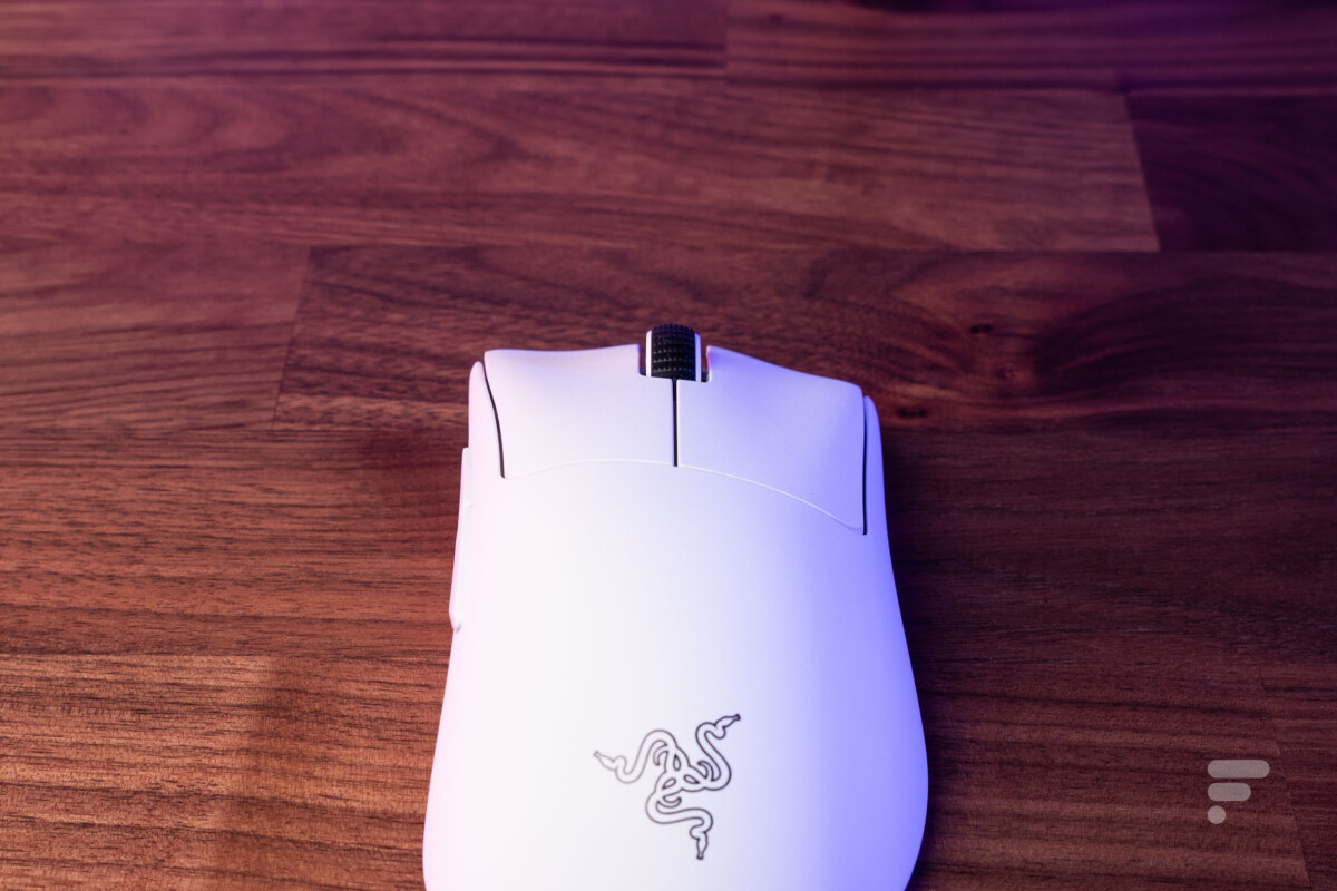 Razer DeathAdder V3 Pro