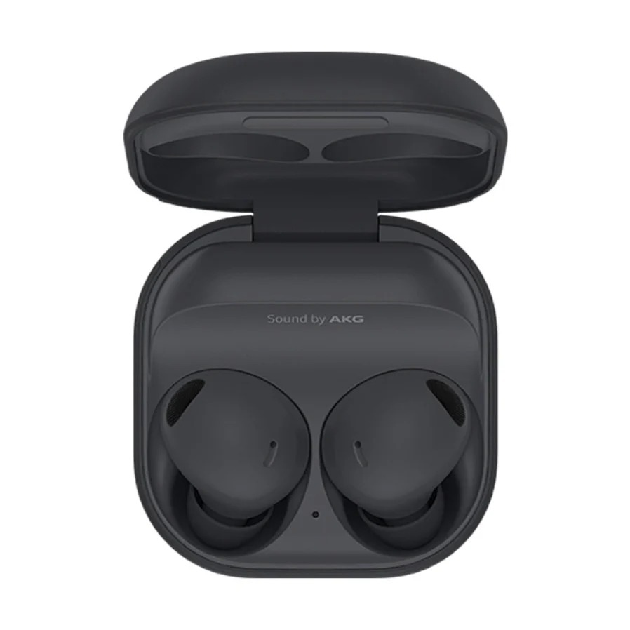 samsung-galaxy-buds-2-pro-zenith-grey- (2) Samsung Galaxy Buds 2 Pro "Zenith Grey" // Source : WinFuture