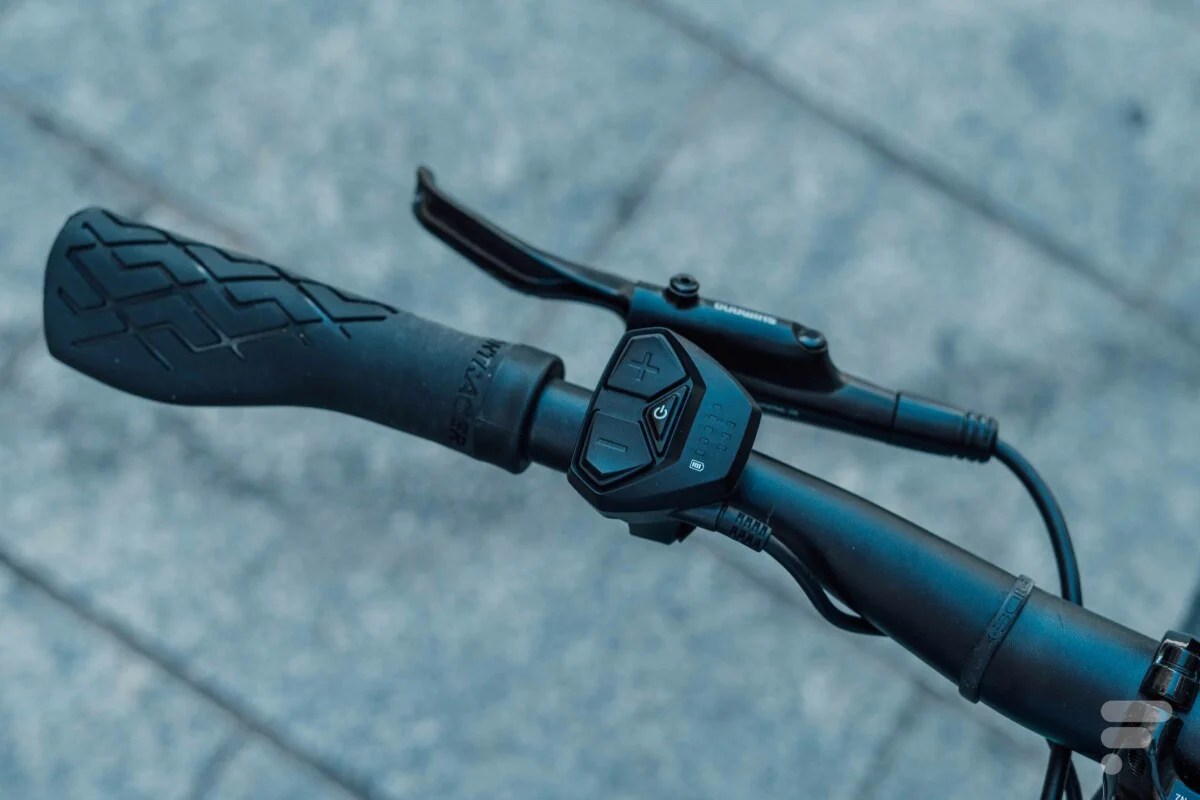 Trek FX+ 2