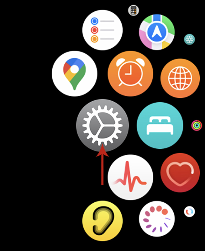 How to take a screenshot on Apple Watch?