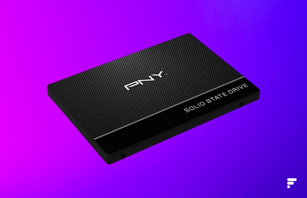 ssd pny 480 Go fond violet