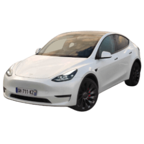 Tesla Model Y Performance (2022)