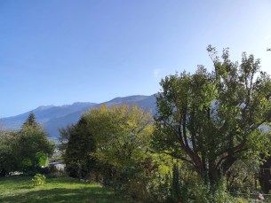 IMG_20221028_110129