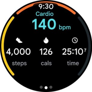pixel watch fitbit (3)