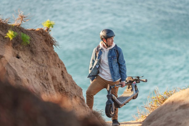 Segway KickScooter P65E