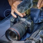 Canon EOS R6 II : un appareil photo au mode rafale ébouriffant