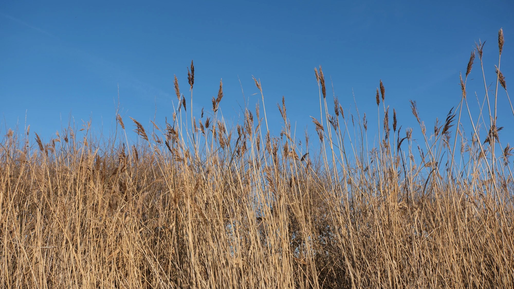 1/2000s, f/2,8 ISO 125 avec objectif XF 16-55 mm F/2,8 R LM WR // Source : Lola Gréco pour Frandroid