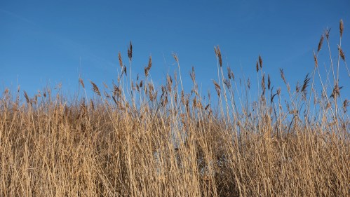 1/2000s, f/2,8 ISO 125 avec objectif XF 16-55 mm F/2,8 R LM WR  // Source : Lola Gréco pour Frandroid
