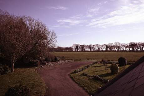 paysage de campagne