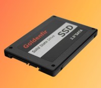 SSD interne Goldenfir 1 To