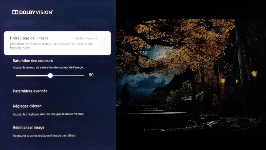 Le téléviseur est bien compatible avec le format vidéo Dolby Vision