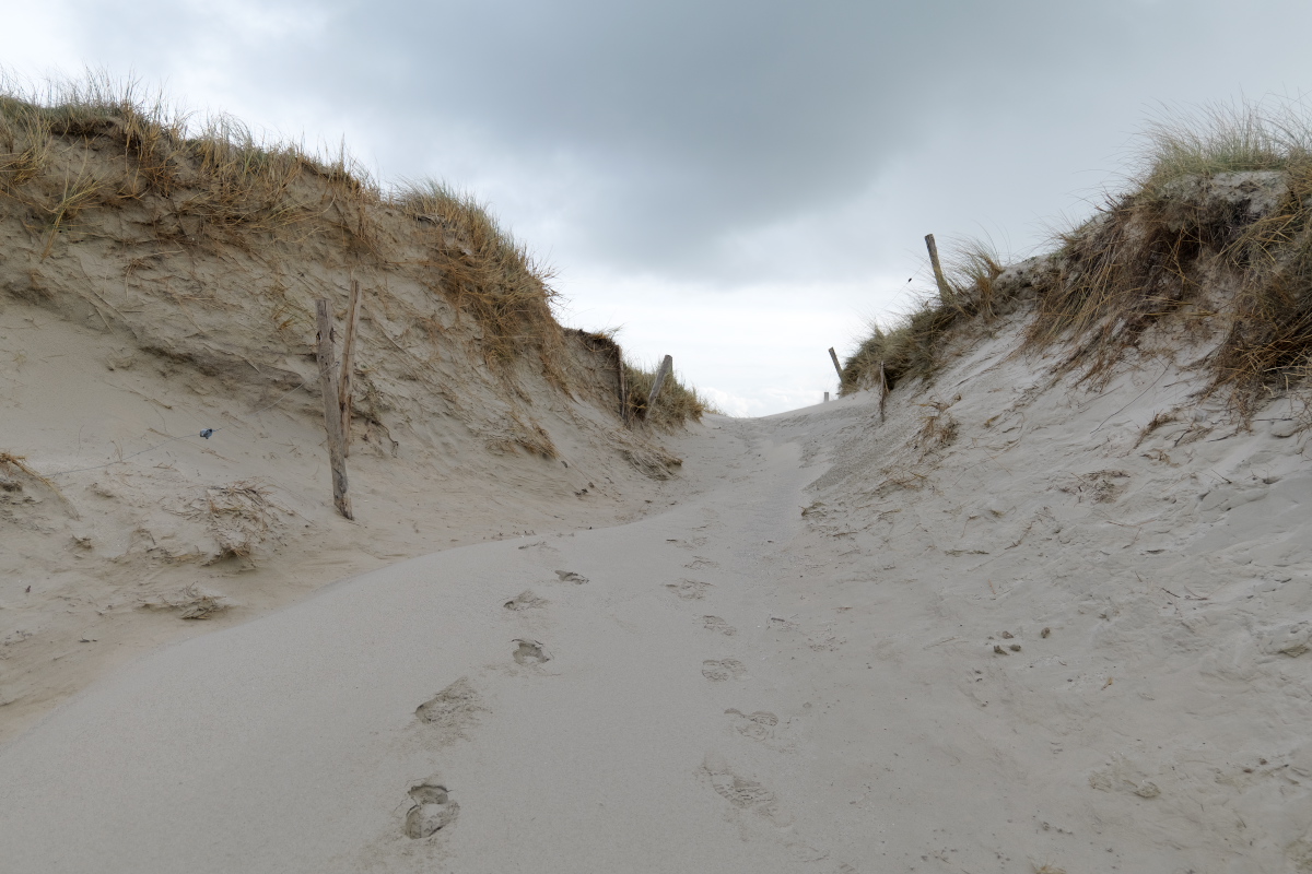 traces de pas sur dune